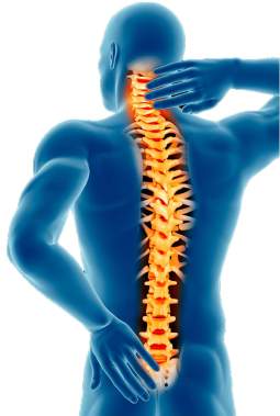 Spine Pain